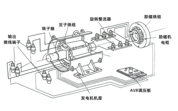 無刷交流發(fā)電機結(jié)構(gòu)圖.png