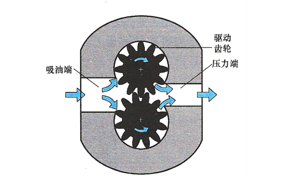 齒輪式輸油泵結(jié)構(gòu)圖-柴油發(fā)電機(jī)組.png