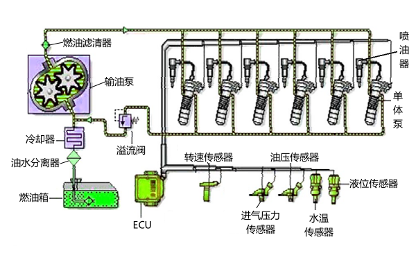 單體泵電控燃油噴射系統結構組成.png