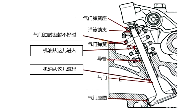 柴油機氣門油封漏油區域圖.png