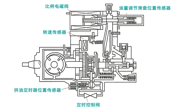 電控位置式分配泵結(jié)構(gòu)圖-柴油發(fā)電機組.png